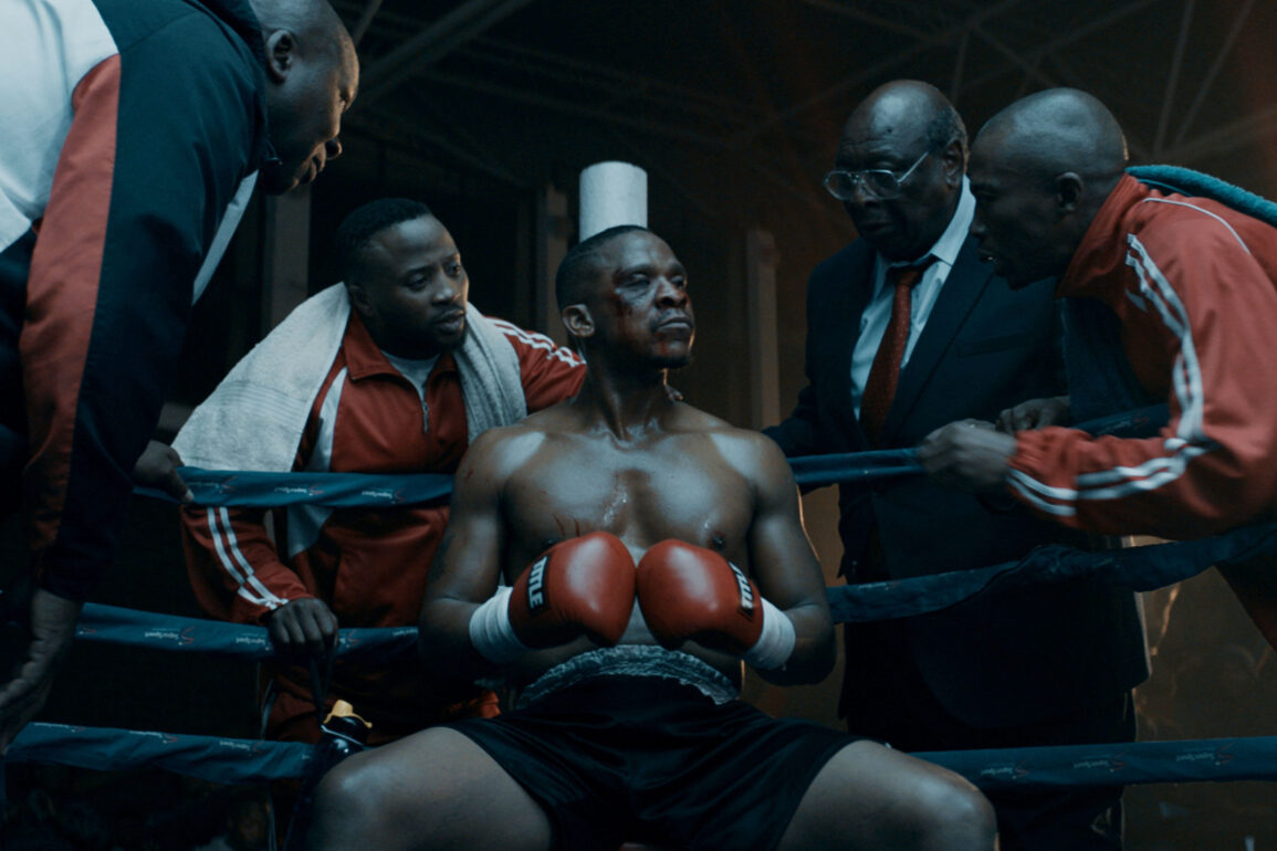South African films 100% rated on Rotten Tomatoes