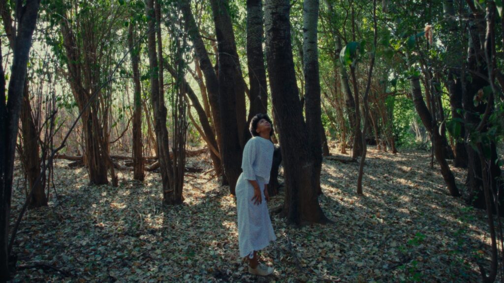 Indlela Yokubuya coming soon